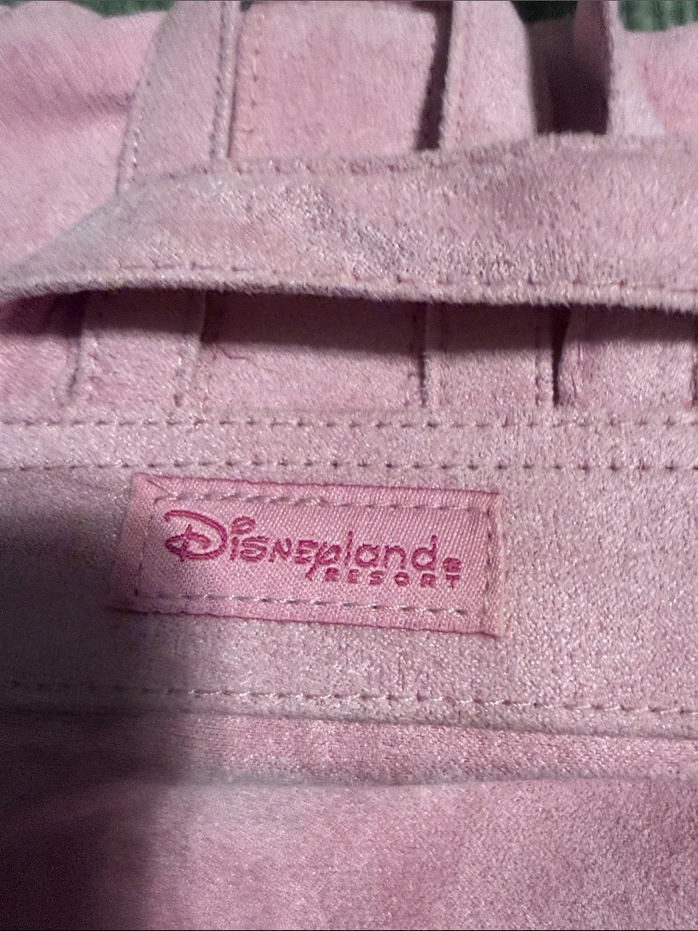 From Disneyland ….Tinker Bell Mini Backpack